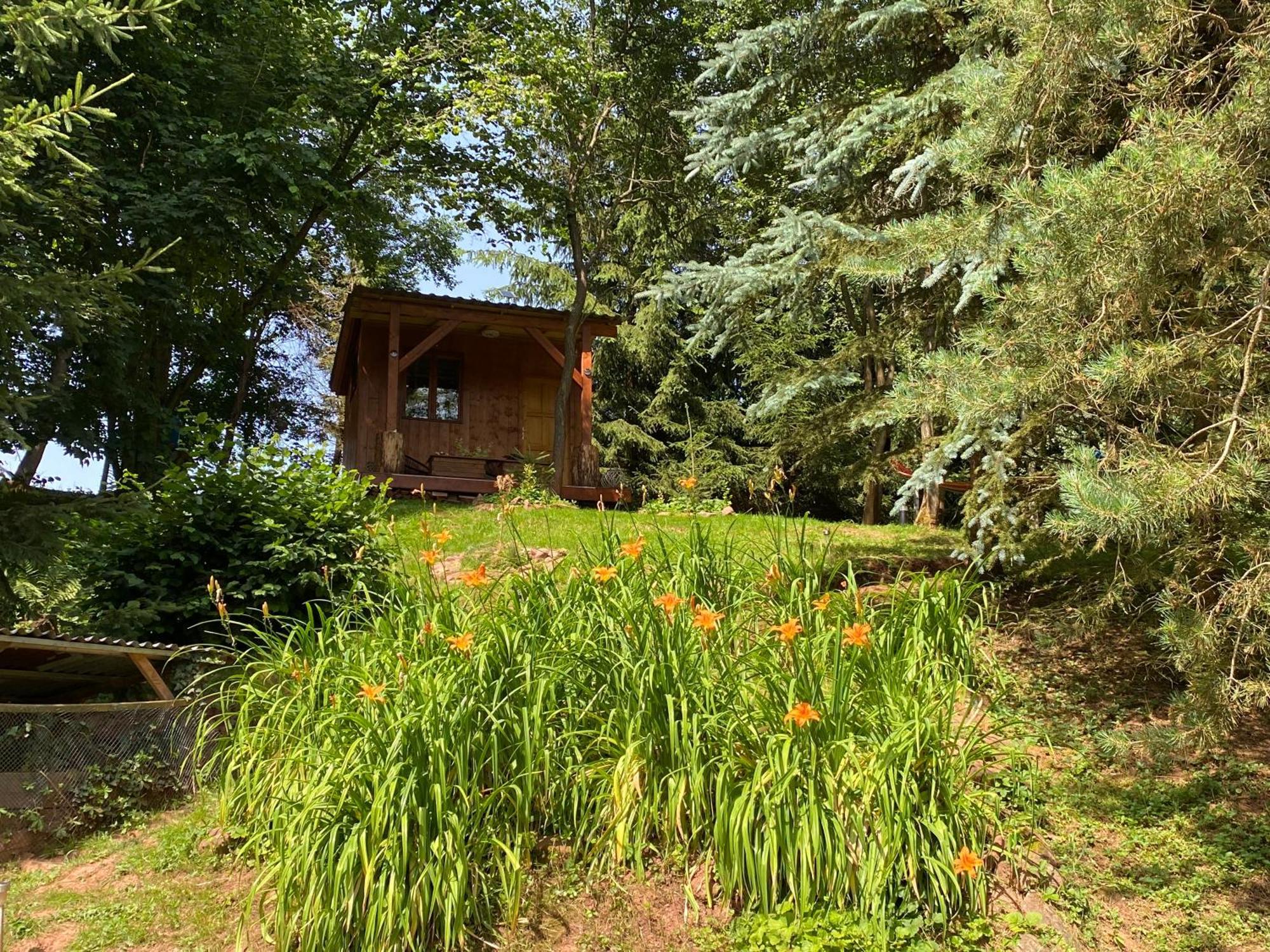 Tiny Resort Chotevice 1 Kottwitz Kültér fotó